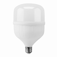 Лампа LED Е27  40W 6000 (E40)  Leek
