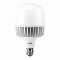 Лампа LED Е40 120W 6500   Leek